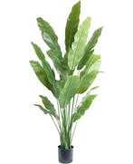 Kunstplant Strelitzia Nicolai | 195cm, Ophalen, Nieuw