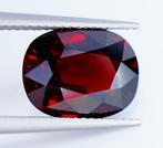 Oranje, Rood Granaat  - 6.65 ct - Antwerp Laboratory for, Nieuw