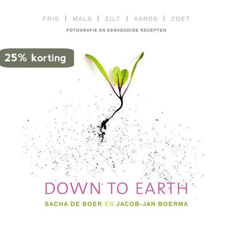 Down to Earth 9789000350568 Sacha de Boer, Boeken, Wetenschap, Gelezen, Verzenden