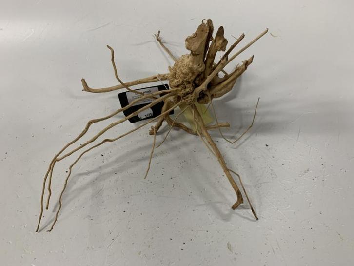 Driftwood Selected DW25 - 40x23x34cm (Small drift wood), Dieren en Toebehoren, Vissen | Aquaria en Toebehoren, Plant(en), Steen of Hout