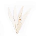 Wooden Knives, Nieuw