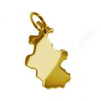 Gouden Provincie Overijssel ketting hanger, Verzenden, Nieuw