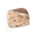 Oceaan Jaspis trommelsteen Nr 40 - 22 gram, Verzenden, Nieuw