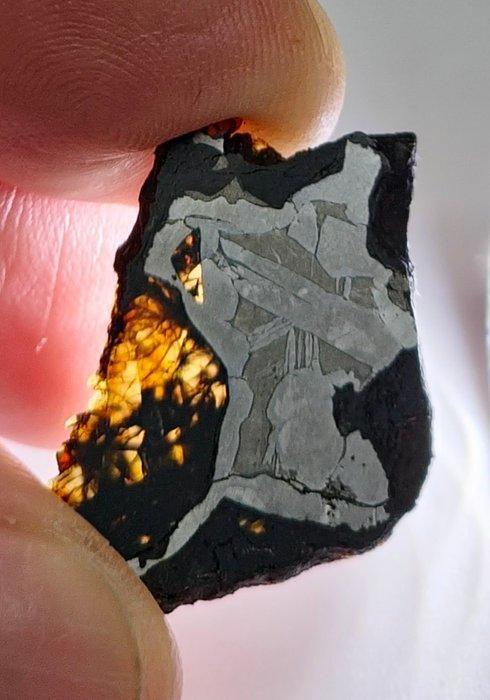 Pallasite meteoriet, NWA 16774. Geen minimumprijs. - 2.66 g, Verzamelen, Mineralen en Fossielen