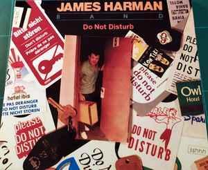 cd digi - The James Harman Band - Do Not Disturb, Cd's en Dvd's, Cd's | Jazz en Blues, Zo goed als nieuw, Verzenden