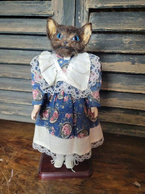 Kat Taxidermie volledige montage - Felis catus - 40 cm - 15, Verzamelen, Dierenverzamelingen