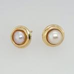 Zonder minimumprijs - Oorbellen - 14 karaat Geel goud Parel, Sieraden, Tassen en Uiterlijk, Oorbellen, Nieuw