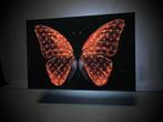 Mike Blackarts - Luxurious Flame Orange Butterfly with
