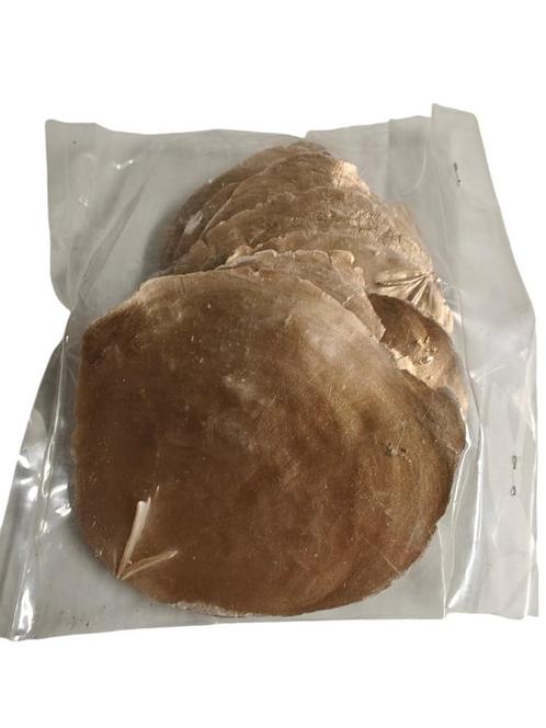 Capiz shell  Camar Goud 250 gram Geverfde schelpen, Hobby en Vrije tijd, Knutselen, Nieuw, Ophalen of Verzenden