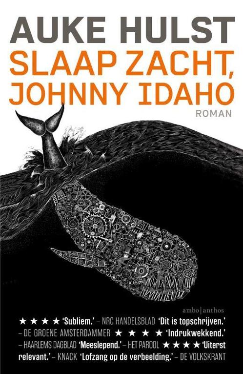 Slaap zacht, Johnny Idaho 9789026334412 Auke Hulst, Boeken, Romans, Gelezen, Verzenden