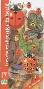 Lieveheersbeestjes in beeld 9789050111263 F. Bos, Boeken, Wetenschap, F. Bos, Gelezen, Verzenden