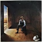 LP gebruikt - Don McLean - Homeless Brother, Verzenden, Zo goed als nieuw