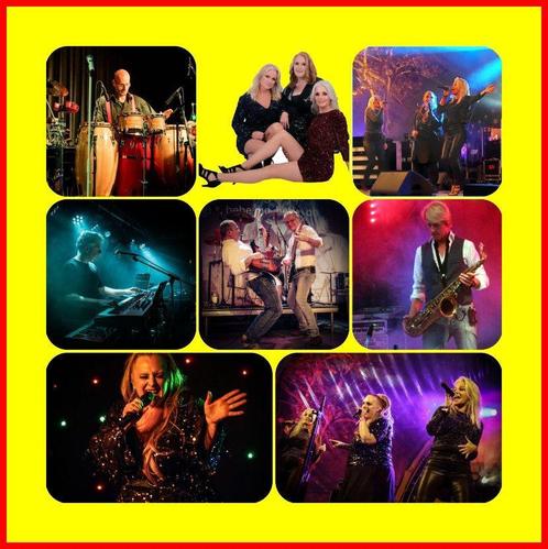 De beste bruiloftsband en feest coverband met dj en saxofoon, Diensten en Vakmensen, Muzikanten, Artiesten en Dj's, Band, Dj, Orkest