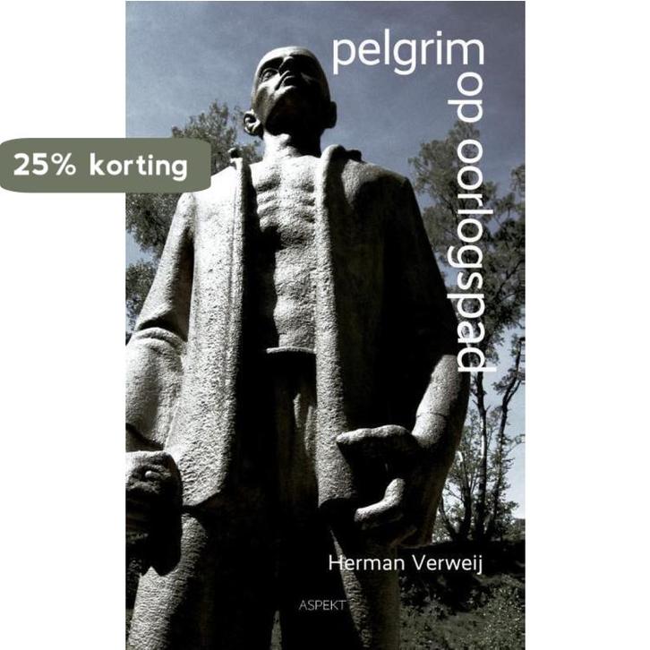 Pelgrim op oorlogspad 9789463381567 Herman Verweij, Boeken, Geschiedenis | Wereld, Gelezen, Verzenden