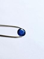 Blauw Saffier - 1.75 ct - Lotus Gemology - Uitzonderlijk, Nieuw