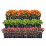[en.casa] Moestuinbak Renswoude 118x118x60 cm antracietgrijs