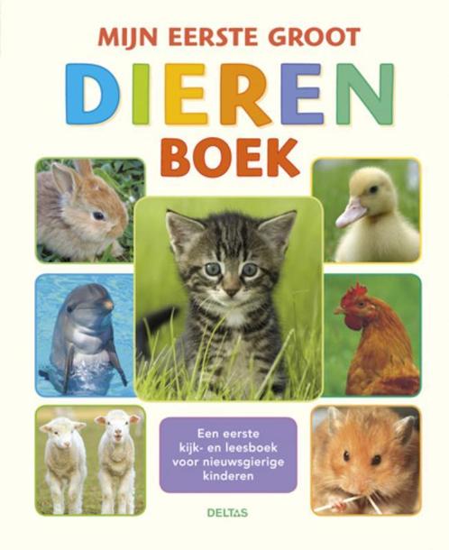 Mijn eerste groot dierenboek 9789044733570 Wang Shu-Jing, Boeken, Overige Boeken, Gelezen, Verzenden