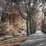 Wiepke Folkerts - Parc #3, Antiek en Kunst