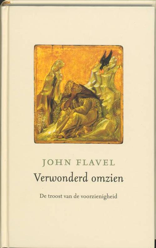 Verwonderd Omzien 9789061409090 J. Flavel, Boeken, Godsdienst en Theologie, Gelezen, Verzenden