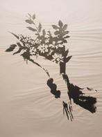 Banksy (1974) - GDP Flower Thrower, Antiek en Kunst, Kunst | Designobjecten
