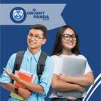 Examentraining Nederlands (HAVO/VWO) – Zaandam, Privéles, Bijles