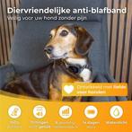 Tweedekans | Nuvance - Anti Blafband Digitaal - Anti Blaf, Dieren en Toebehoren, Ophalen of Verzenden, Gebruikt