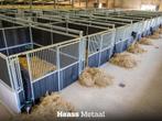 Paardenboxen op voorraad – Kwaliteit uit Nederland | Heass, Dieren en Toebehoren, Weidegang, 4 paarden of pony's of meer