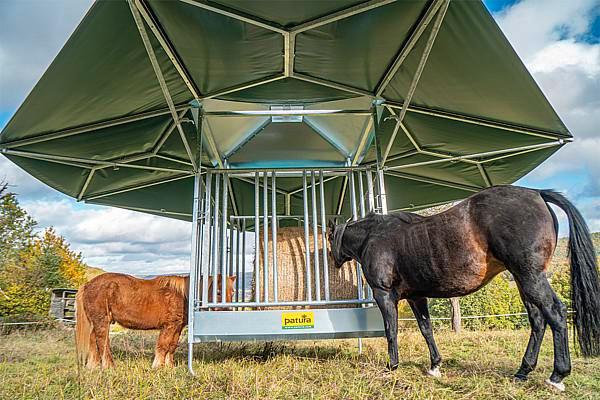 Klimaatdak voor Patura professionele vierkante ruiven, Dieren en Toebehoren, Paarden en Pony's | Overige Paardenspullen, Nieuw