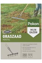 Graszaad Herstel SOS 250gr - Pokon, Tuin en Terras, Gras en Kunstgras, Nieuw, Verzenden