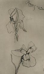 Georges Braque (1882-1963) - Les Iris