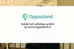 Aaliyah zoekt een oppas in Vught voor 1 kind op dinsdag,..., Vacatures, Vacatures | Onderwijs, Wetenschap en Onderzoek