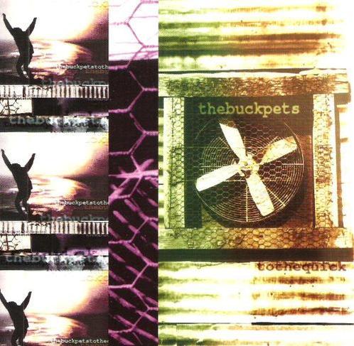 cd - The Buck Pets - To The Quick, Cd's en Dvd's, Cd's | Overige Cd's, Zo goed als nieuw, Verzenden