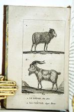 Buffon / M. Le Baron Cuvier - Histoire naturelle de Buffon -