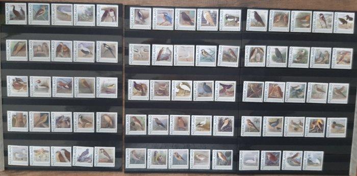 Nederland 2011/2013 - Complete serie Persoonlijke postzegels, Postzegels en Munten, Postzegels | Nederland