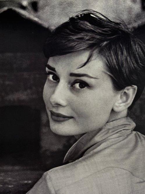 Philippe Halsman - Audrey Hepburn, Antiek en Kunst, Kunst | Tekeningen en Foto's