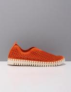 Ilse Jacobsen tulip 3275 ballerina's dames rood  906, Kleding | Dames, Ilse Jacobsen, Verzenden, Nieuw