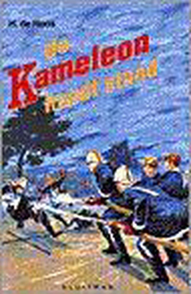 De Kameleon houdt stand / Kameleon 9789020666830 H. de Roos, Boeken, Kinderboeken | Jeugd | 13 jaar en ouder, Gelezen, Verzenden