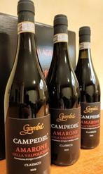 2019 Gamba, Campedel - Amarone della Valpolicella DOCG - 3, Nieuw