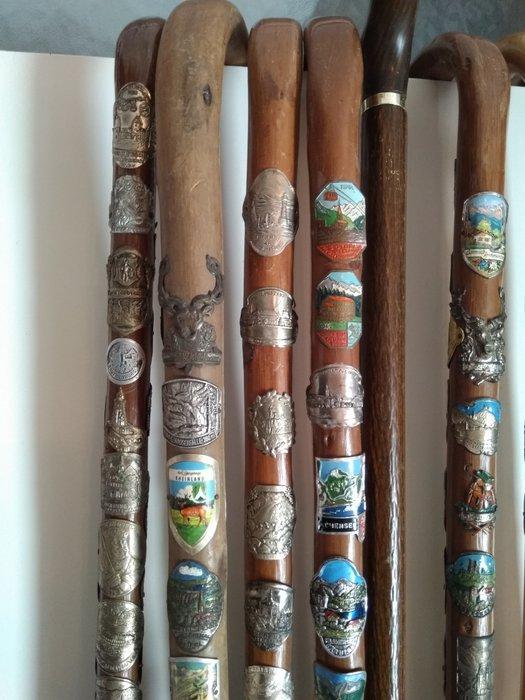 Wandelstok (8) - Hout, Antiek en Kunst, Curiosa en Brocante