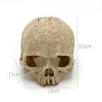 Kunstschedel OS-216 - aquarium decoratie, Ophalen of Verzenden, Nieuw, Sierelement