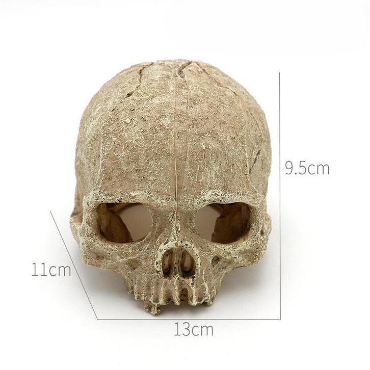 Kunstschedel OS-216 - aquarium decoratie, Dieren en Toebehoren, Vissen | Aquaria en Toebehoren, Sierelement, Nieuw, Ophalen of Verzenden