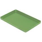 Asa Dental Aluminium Instrument Tray - Groen