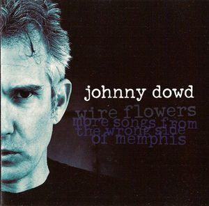 cd - Johnny Dowd - Wire Flowers: More Songs From The Wron..., Cd's en Dvd's, Cd's | Overige Cd's, Zo goed als nieuw, Verzenden