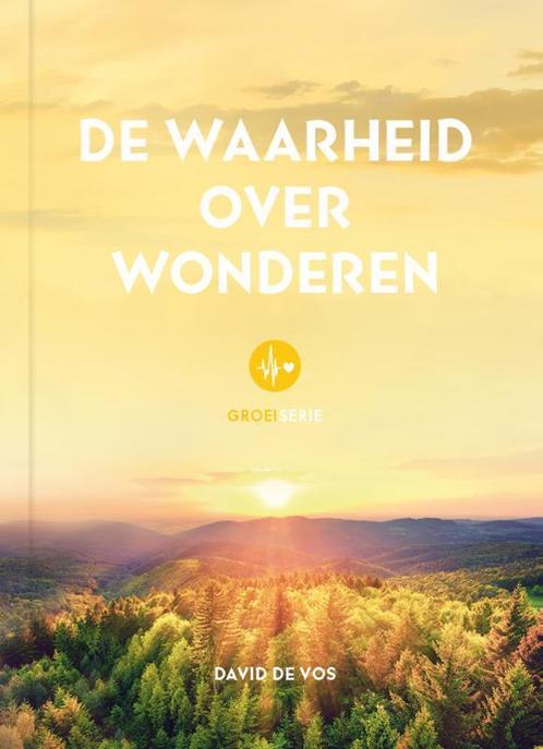 De waarheid over wonderen 9789079807376 David de Vos, Boeken, Godsdienst en Theologie, Zo goed als nieuw, Verzenden