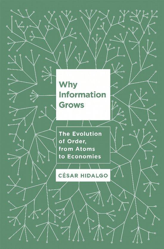 Why Information Grows 9780465048991 Csar Hidalgo, Boeken, Taal | Engels, Zo goed als nieuw, Verzenden