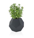 Bloempot Alma 62x62cm | Retourdeal | 51% Korting, Tuin en Terras, Bloempotten, Kunststof, 40 cm of meer, Vierkant, Nieuw