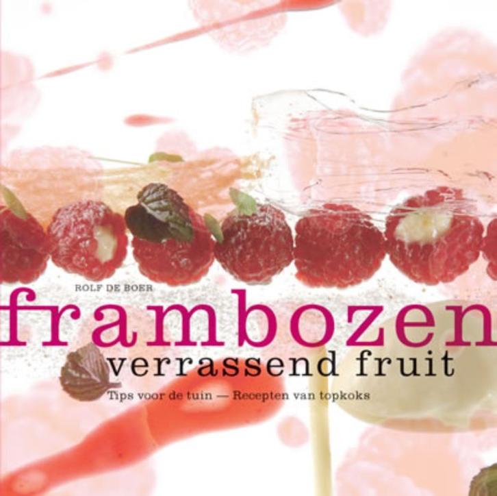 Frambozen 9789075979169 R. de Boer, Boeken, Kookboeken, Zo goed als nieuw, Verzenden