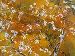 Gouden bloei – Eerbetoon aan Van Gogh op OEKO-TEX katoen -