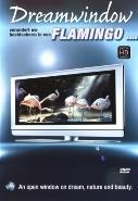 Dreamwindow - flamingos - DVD, Cd's en Dvd's, Verzenden, Nieuw in verpakking