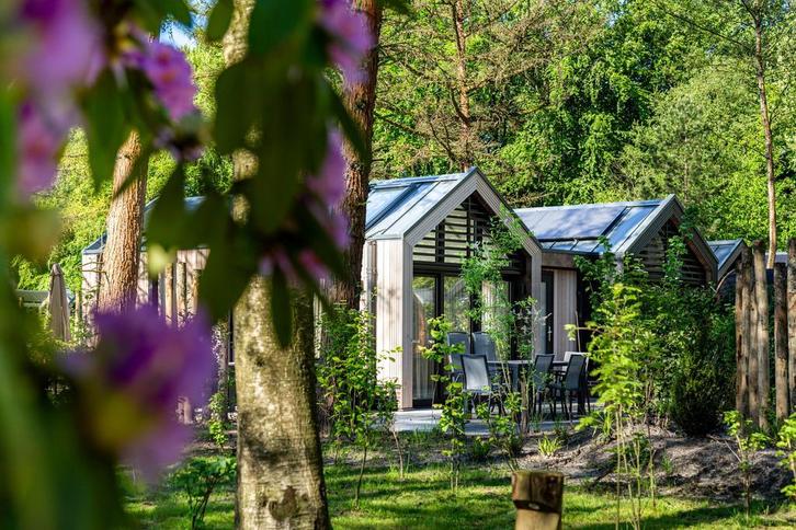 Recreatiewoningen te koop op vakantiepark Lage Vuursche, Huizen en Kamers, Recreatiewoningen te koop